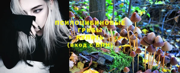 марки nbome Кукмор