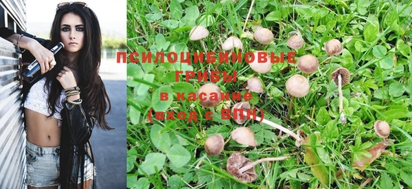 MDMA Premium VHQ Коряжма