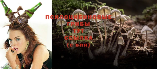 марки nbome Кукмор